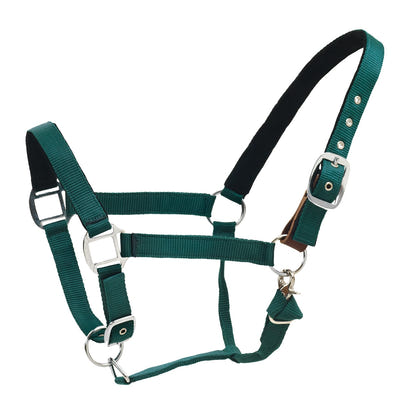 Centaur Solid Cushion Padded Breakaway Halter