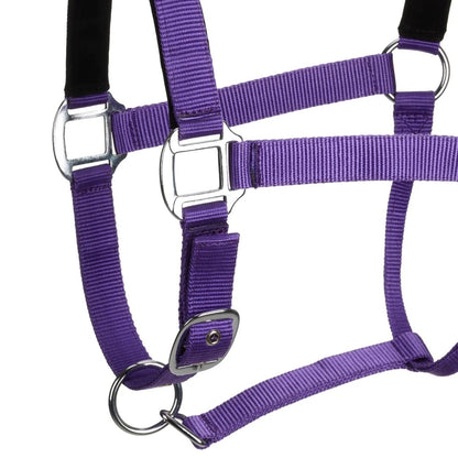 Centaur Solid Cushion Padded Breakaway Halter