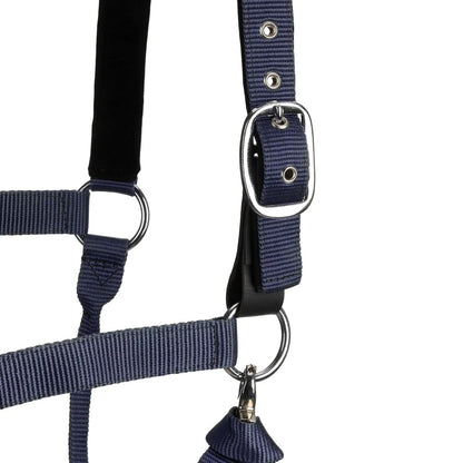 Centaur Solid Cushion Padded Breakaway Halter