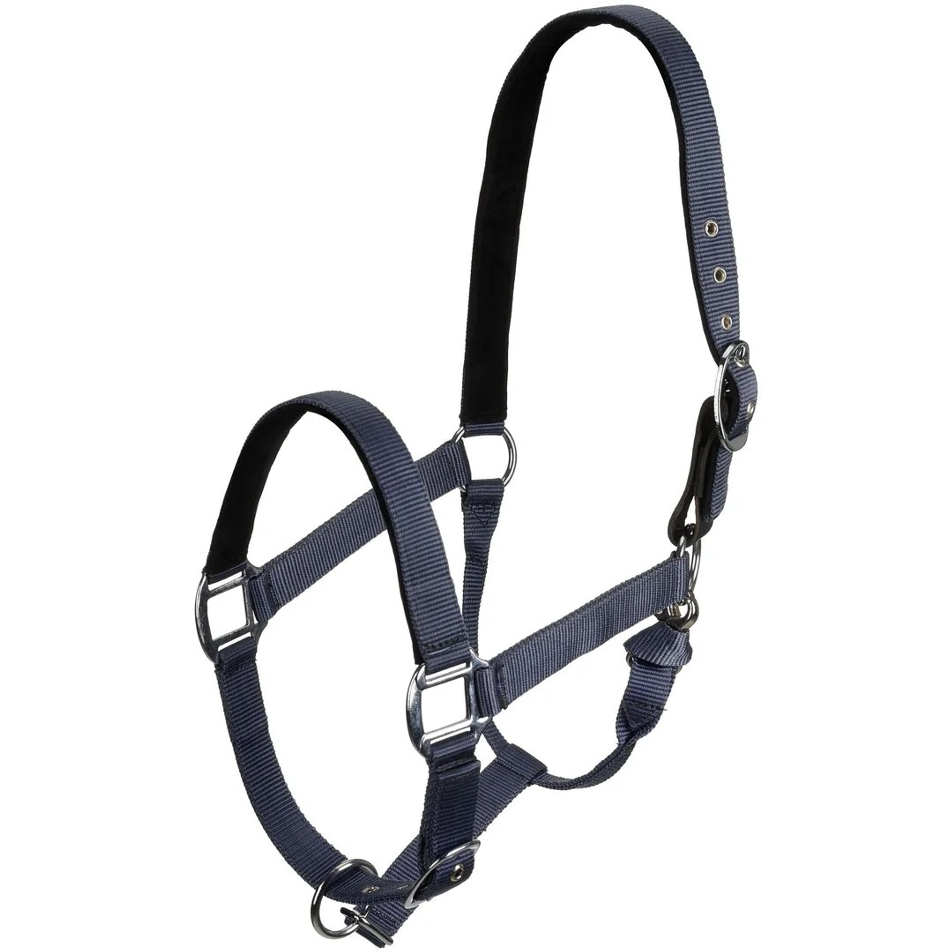 Centaur Solid Cushion Padded Breakaway Halter