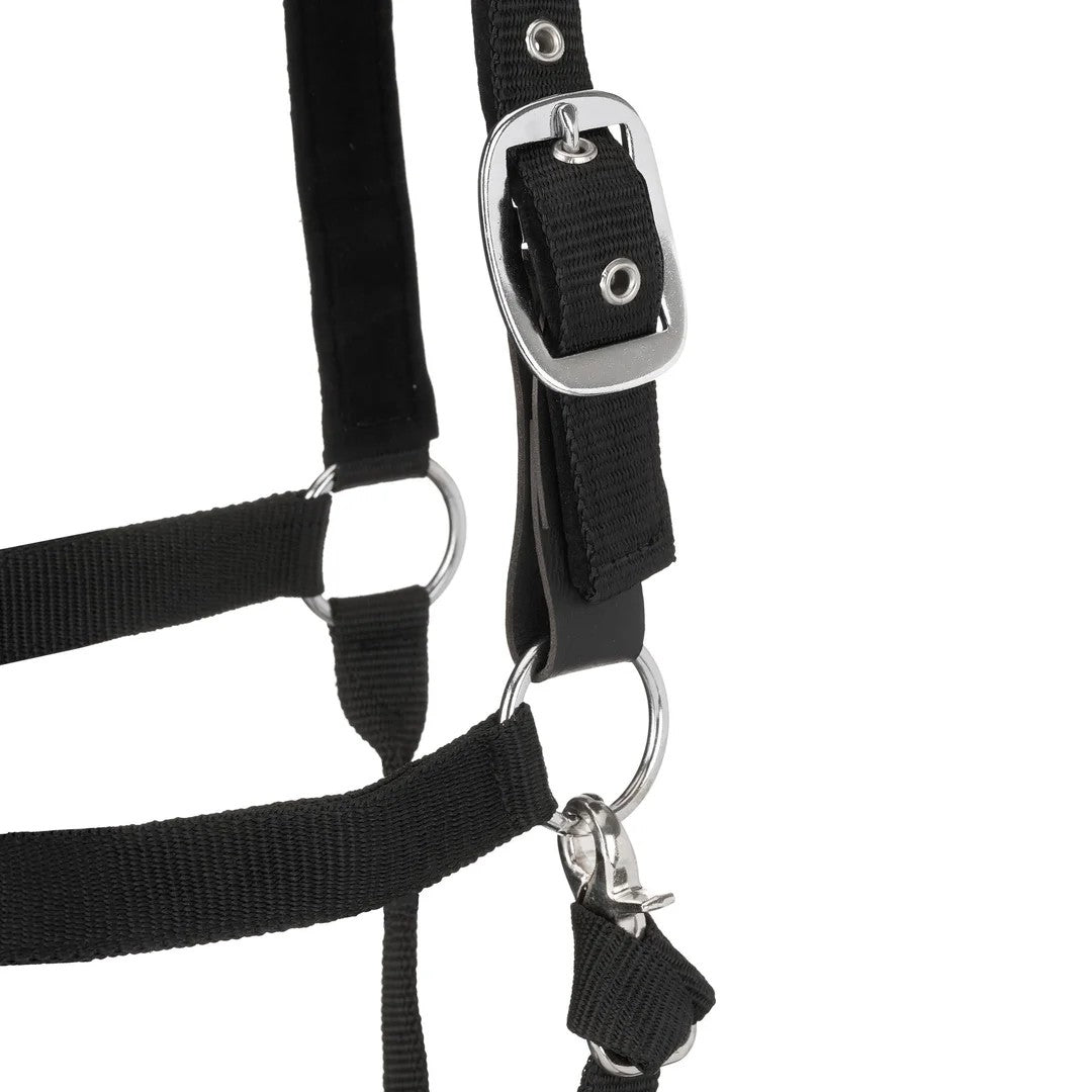Centaur Solid Cushion Padded Breakaway Halter