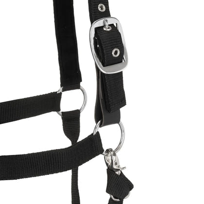 Centaur Solid Cushion Padded Breakaway Halter