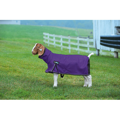 Weaver ProCool Goat Blanket with Reflective Piping