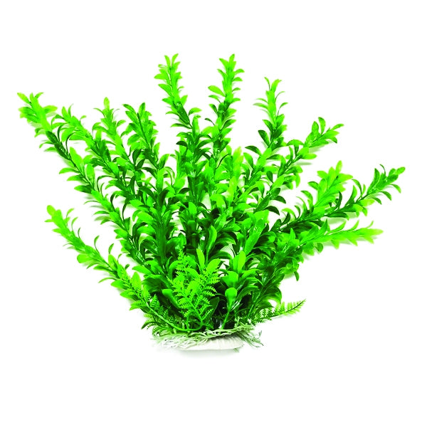 Aquatop Anacharis Like Aquarium Plant
