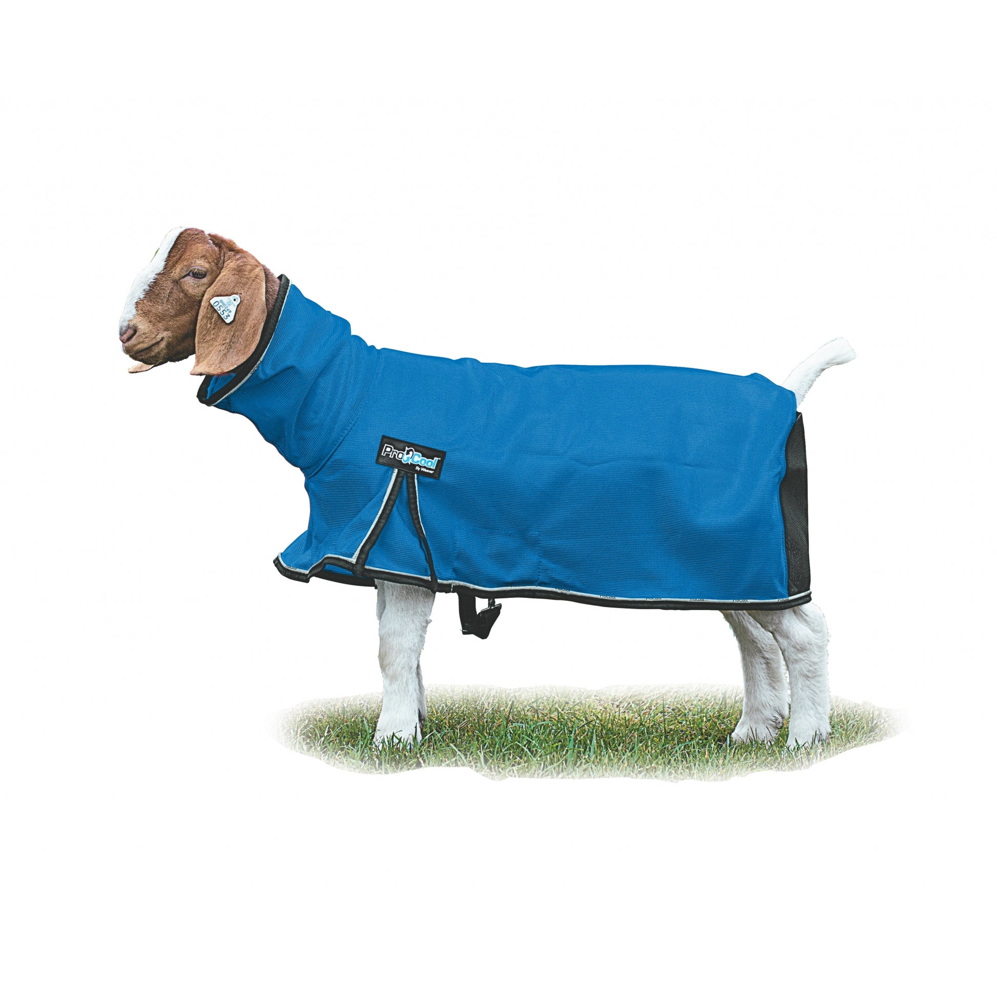 Weaver ProCool Goat Blanket with Reflective Piping