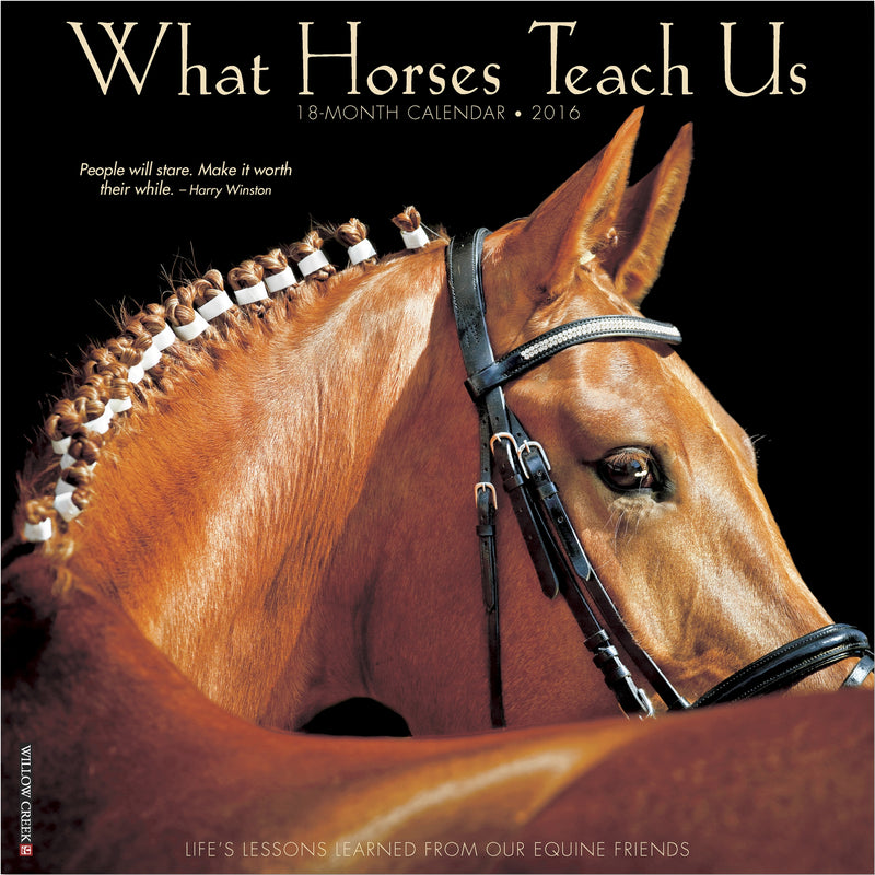 What Horses Teach Us Calendar - 2016
