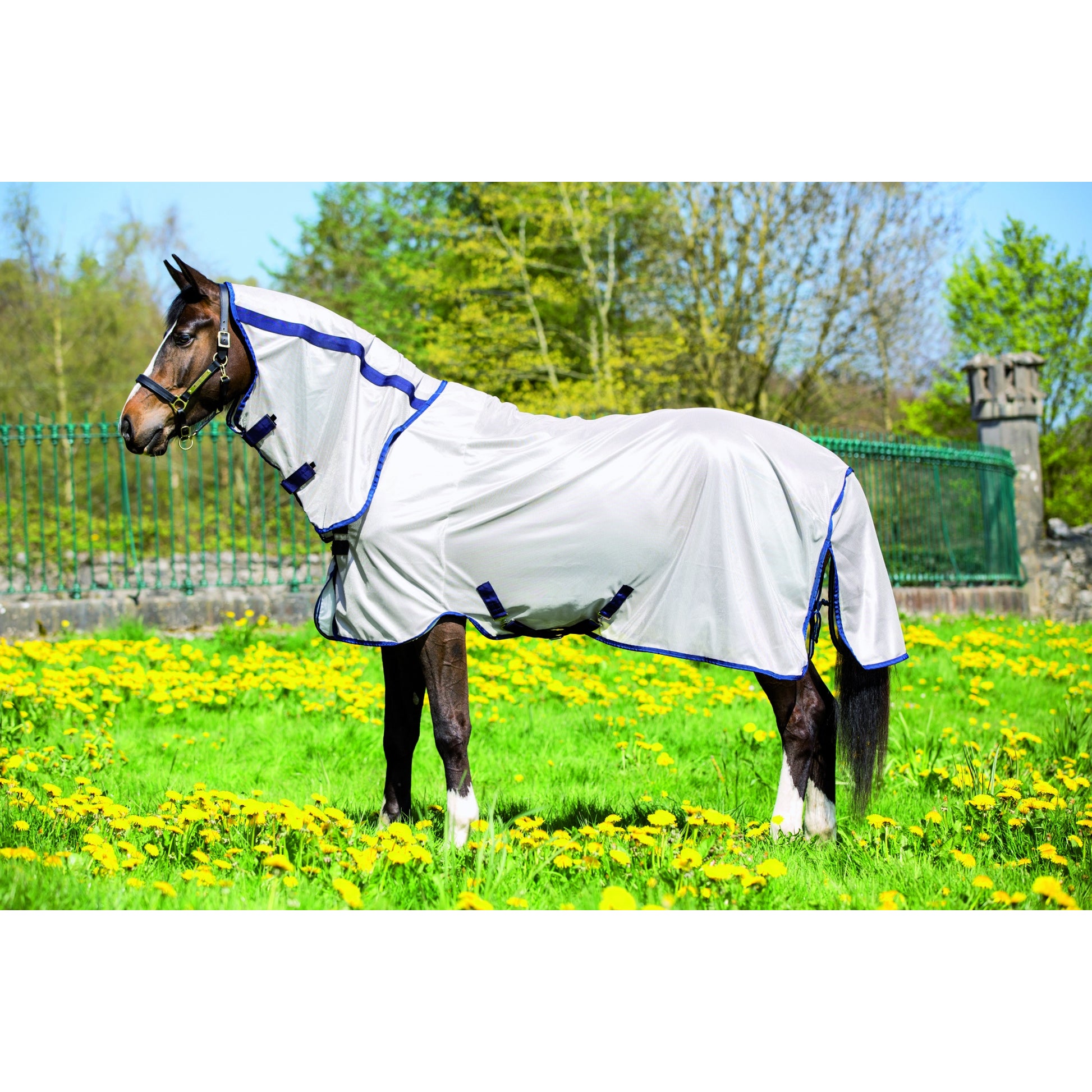 Amigo Mio Combo Flysheet