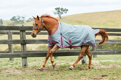Saxon 1200D Standard Med Blanket