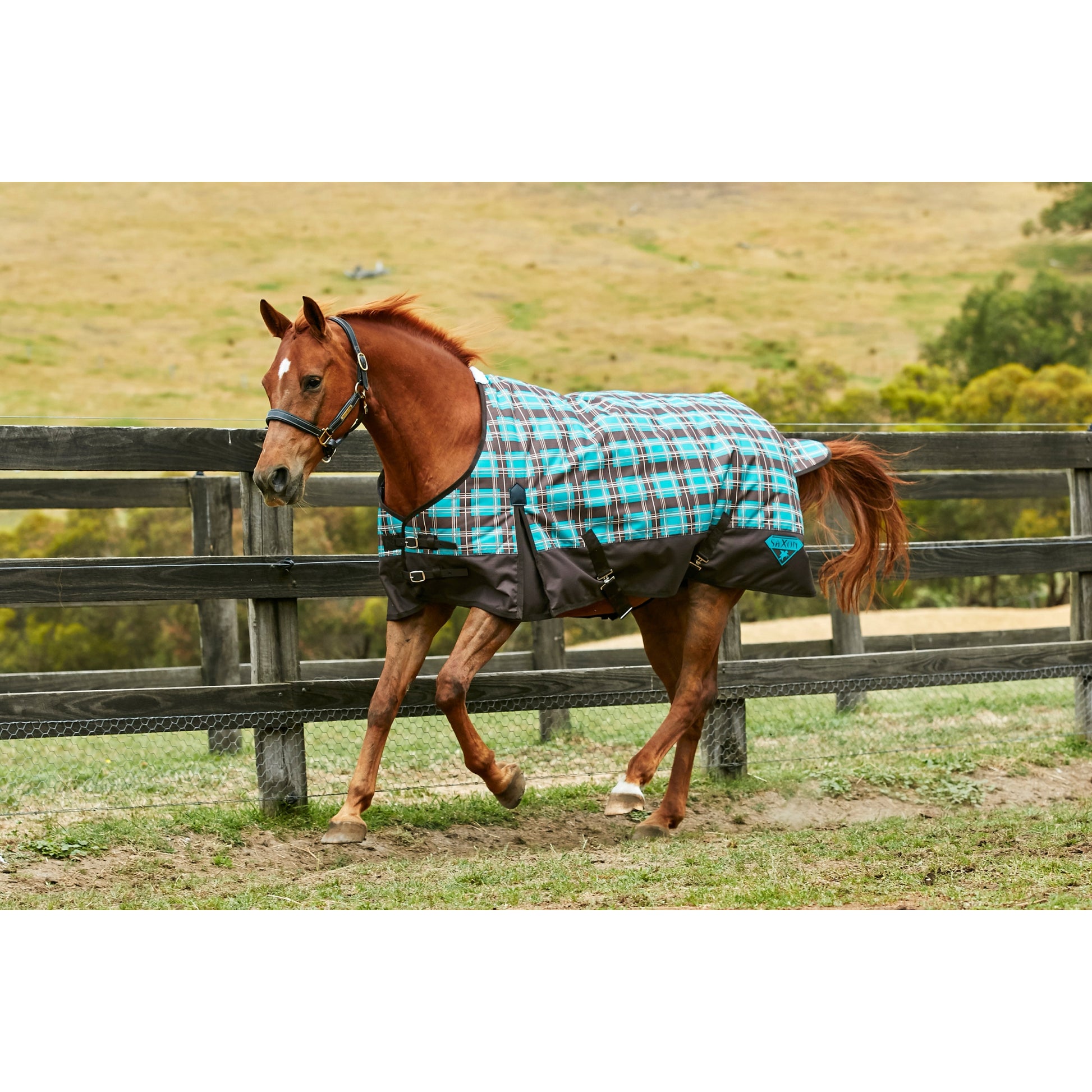 Saxon 1200D Standard Med Blanket