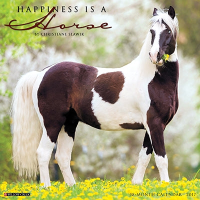 Happniess Is A Horse 2017 18 Month Calendar