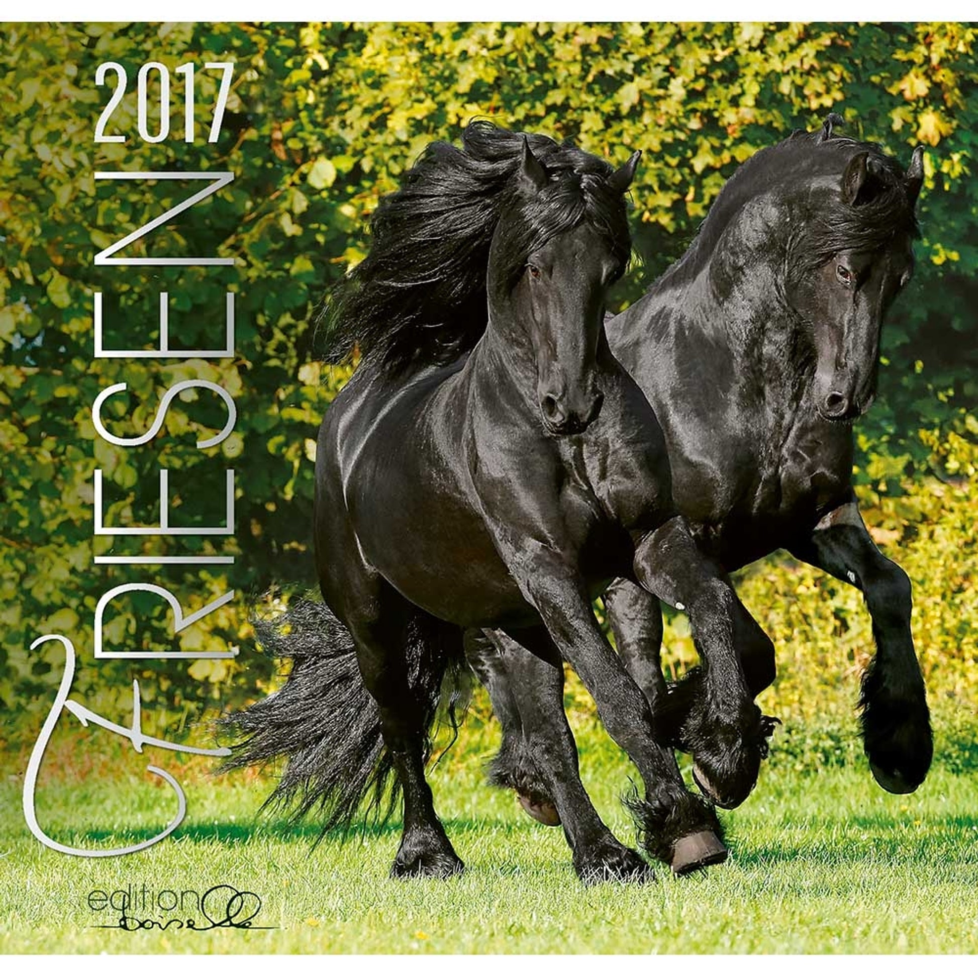Boiselle Art Calendar Friesians - 2017