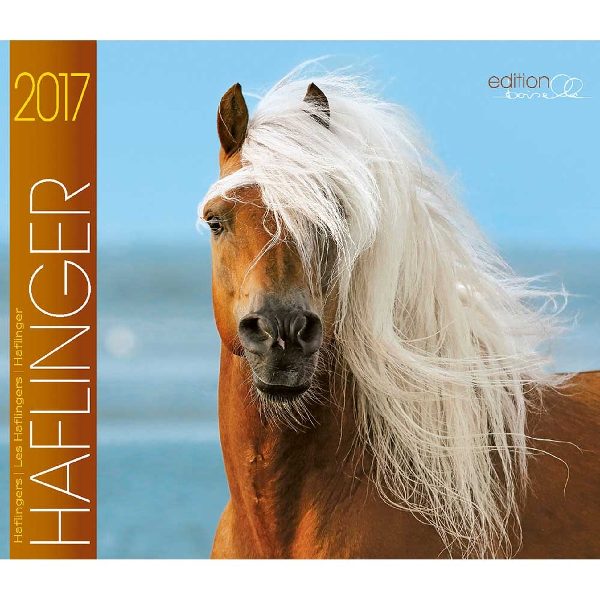 Boiselle Mid Sized Calendar Halflinger - 2017