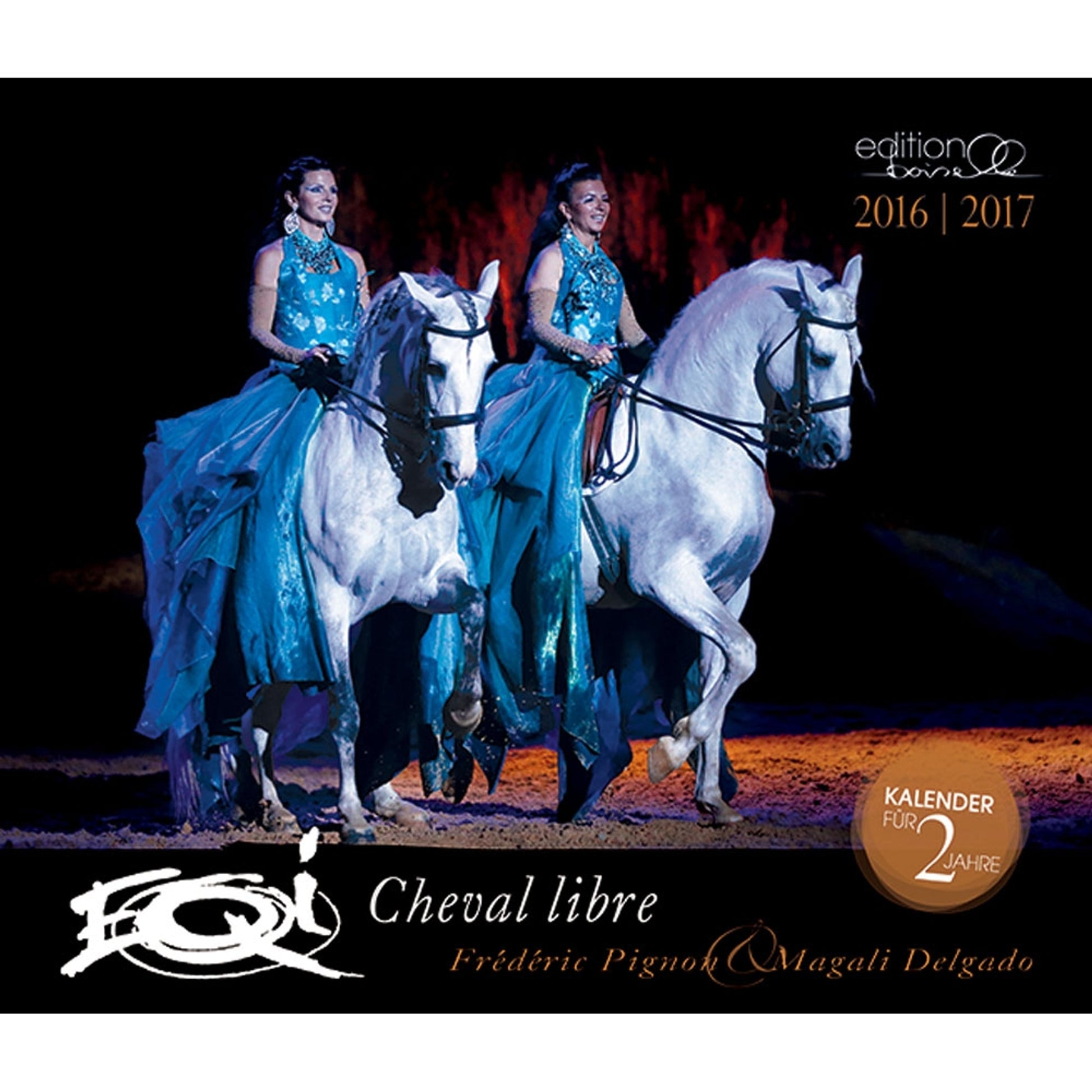 Boiselle Mid Sized Calendar Federic Pigon & Magali Magic - 2017