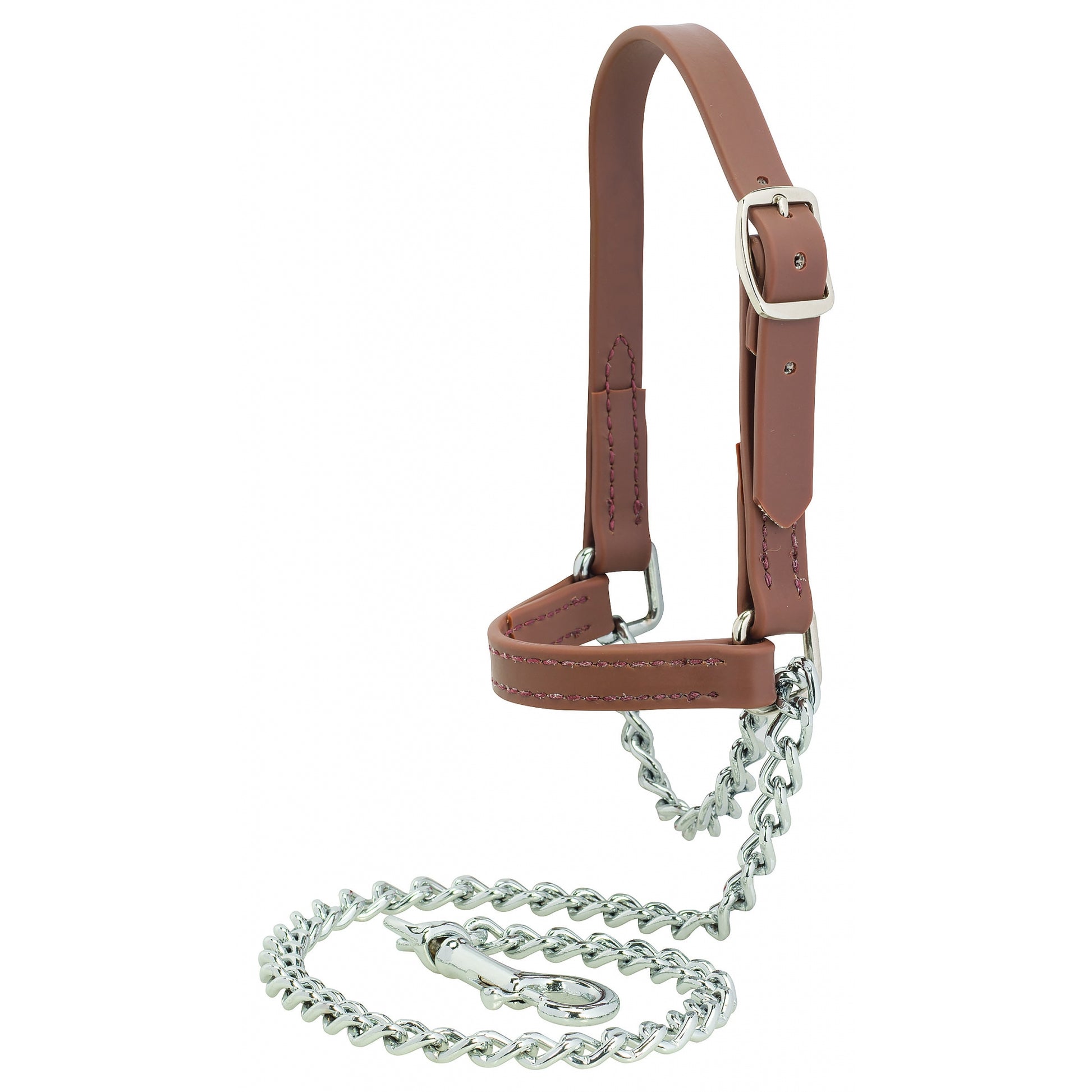 Weaver Sheep and Goat Brahma Webb Halter