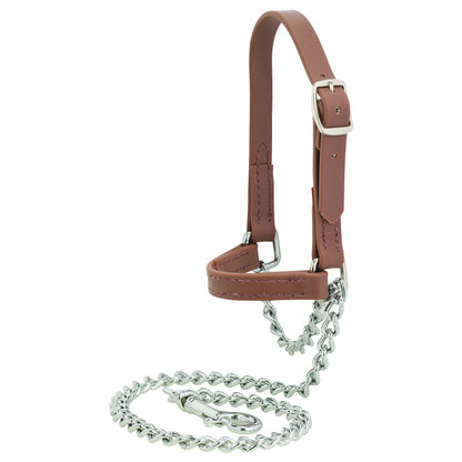 Weaver Sheep and Goat Brahma Webb Halter