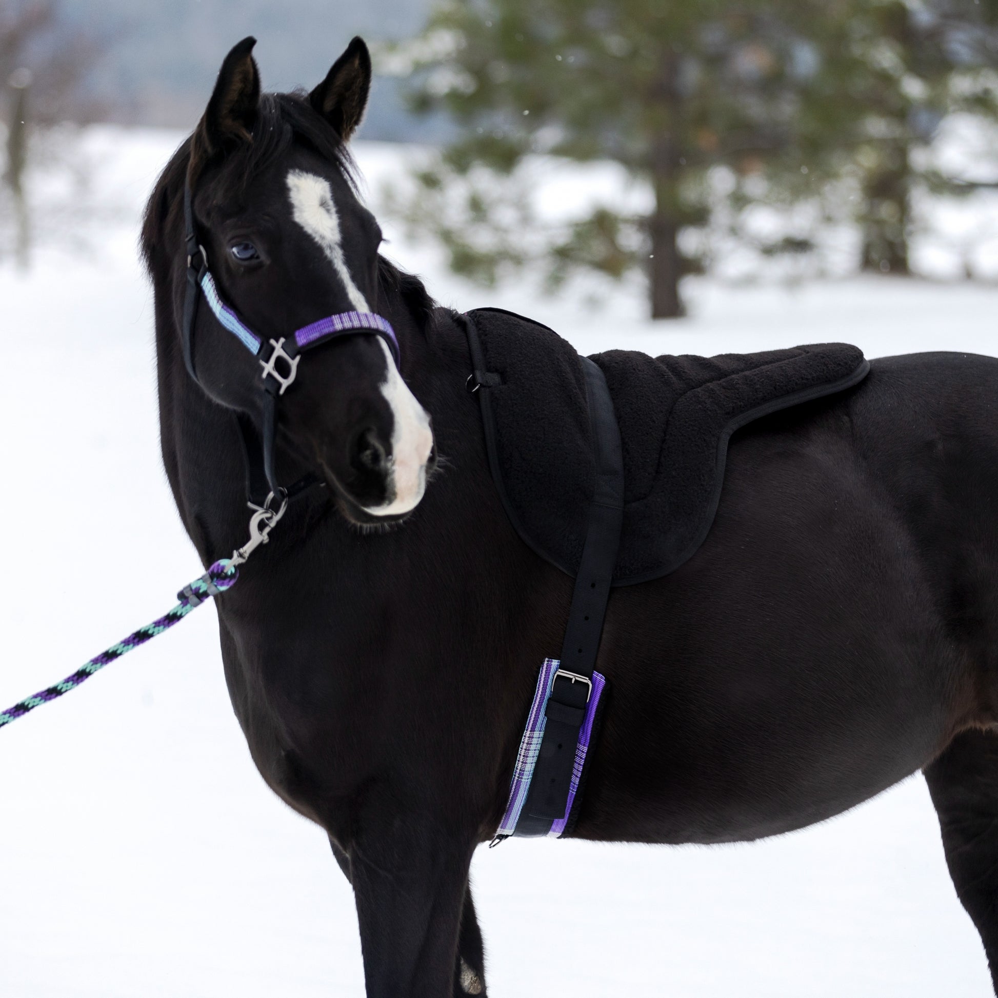 Kensington Fleece Bare back Pad