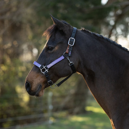 Kensington Breakaway Halter