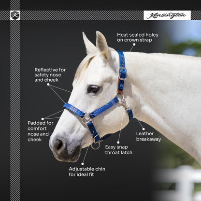 Kensington Breakaway Halter