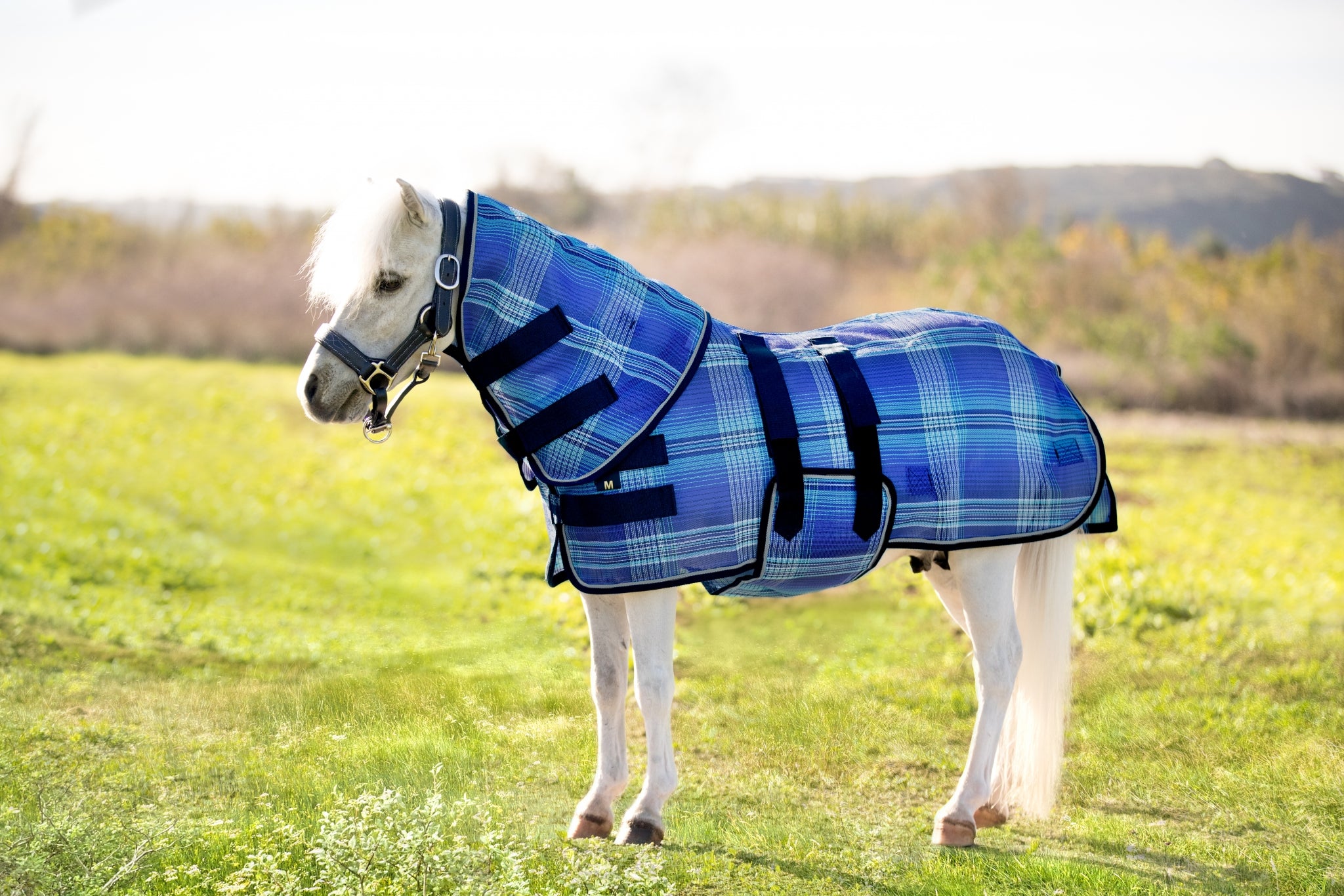Kensington Protective Sheet Mini