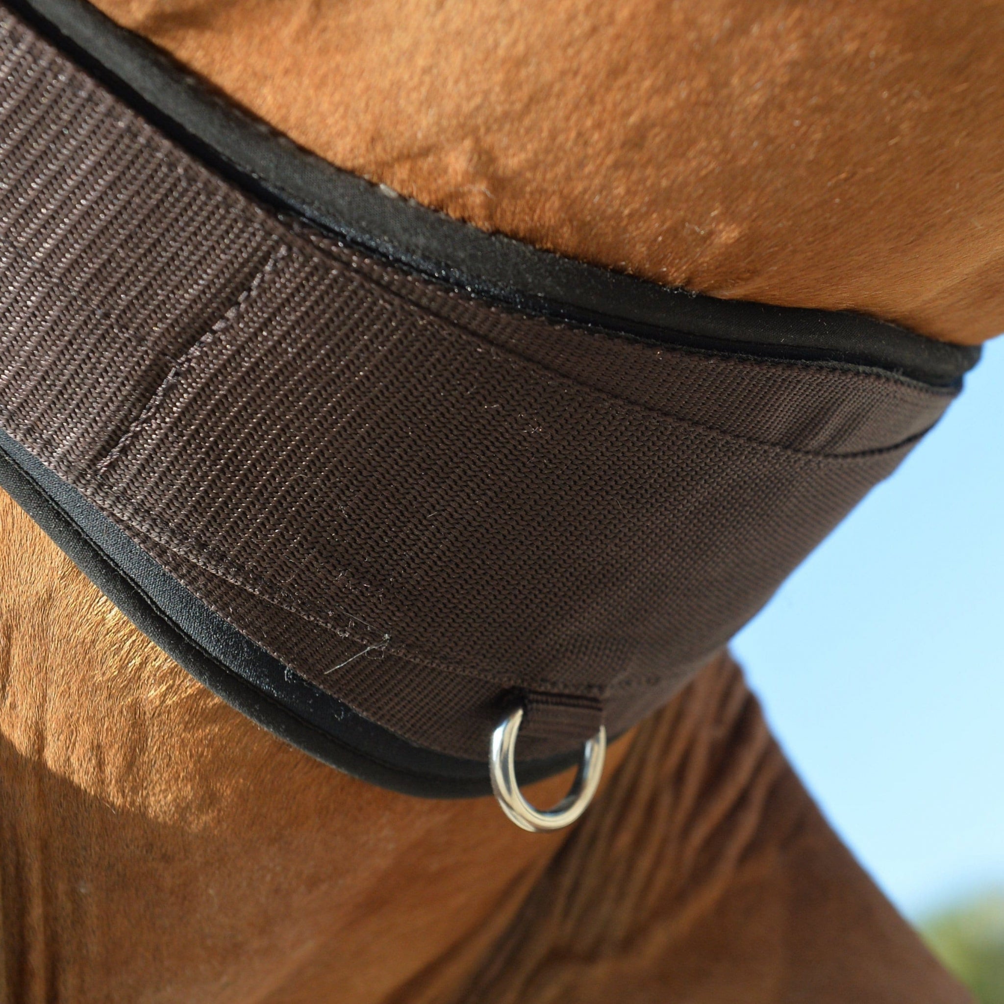 Equifit Essential Schooling Girth with Sheepswool Liner