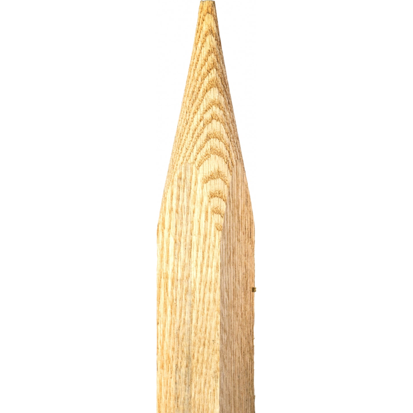 5-966125-1.jpg