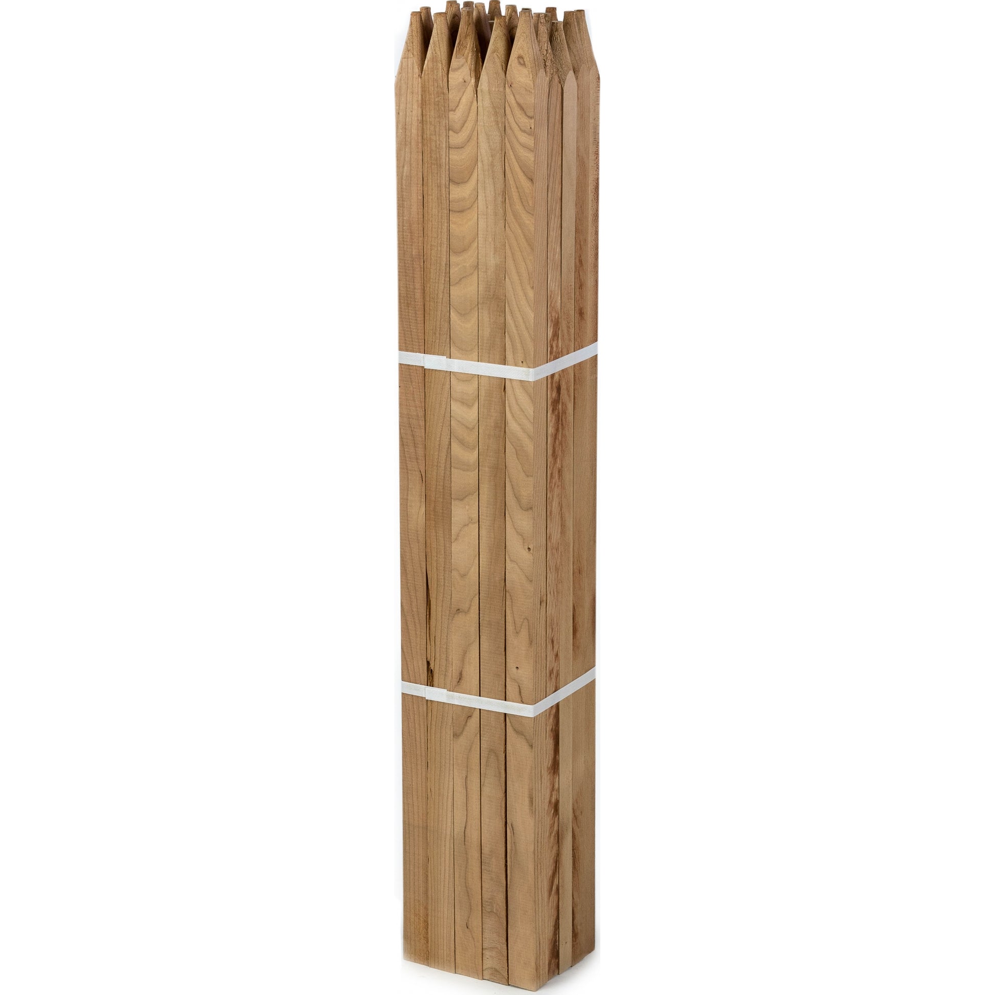 Garden Stake