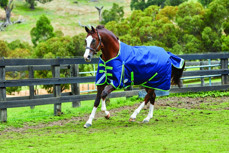 Weatherbeeta Comfitec Plus Dynamic Standard Neck