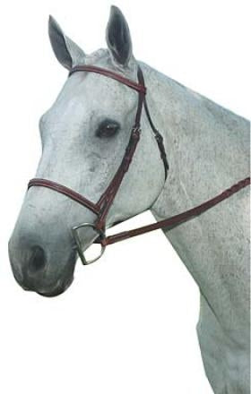 Kincade Plain Raised Bridle
