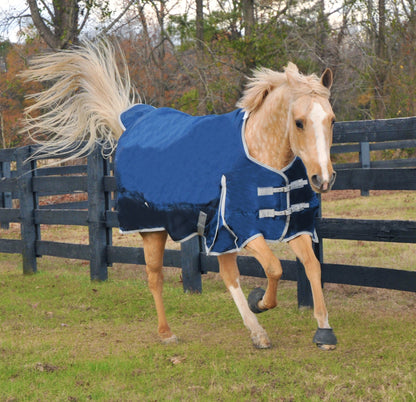 WB 1680D Turnout Blanket