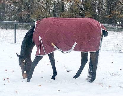 WB 1680D Turnout Blanket
