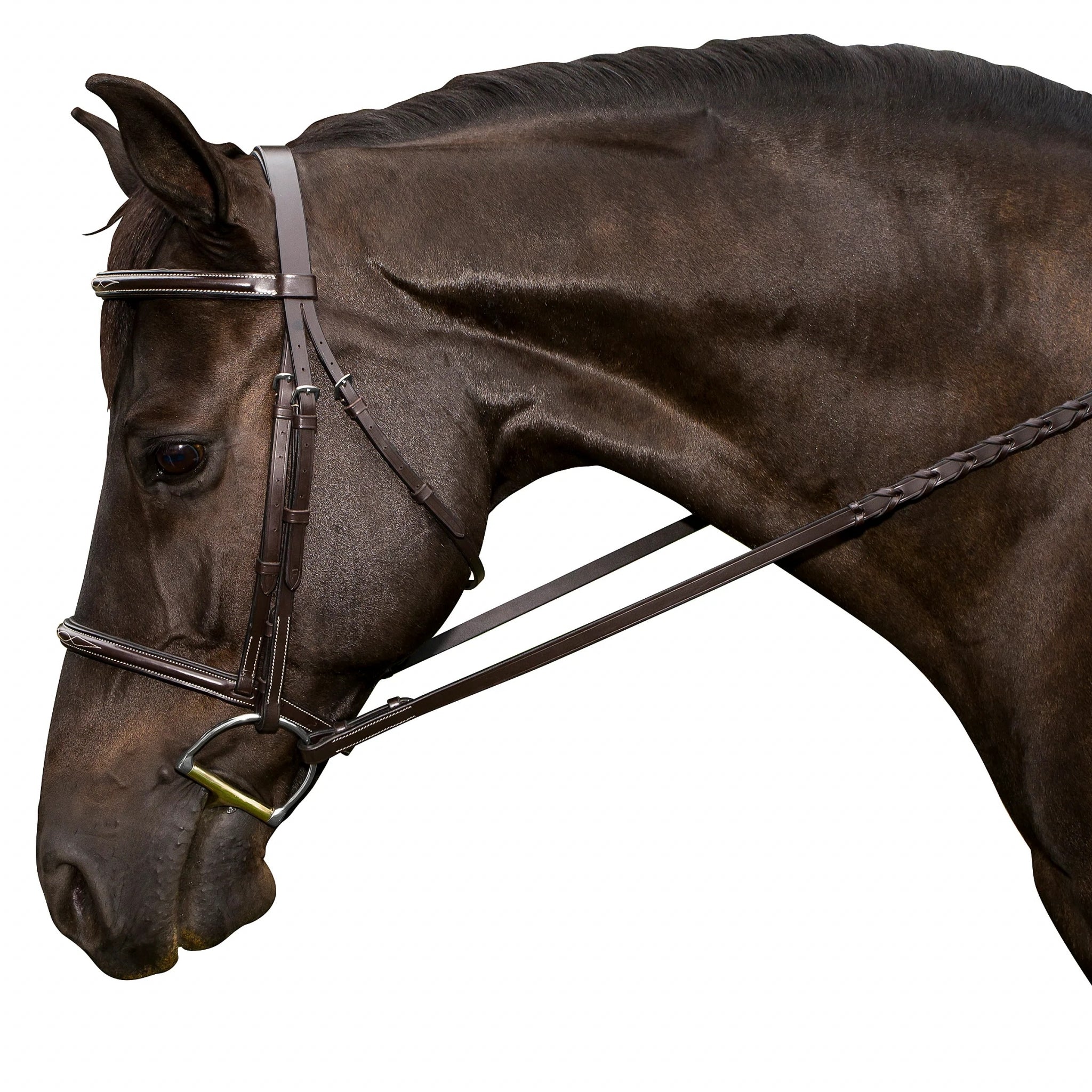 FLEX RIDER Fancy Stitch Raised Snaffle Bridle