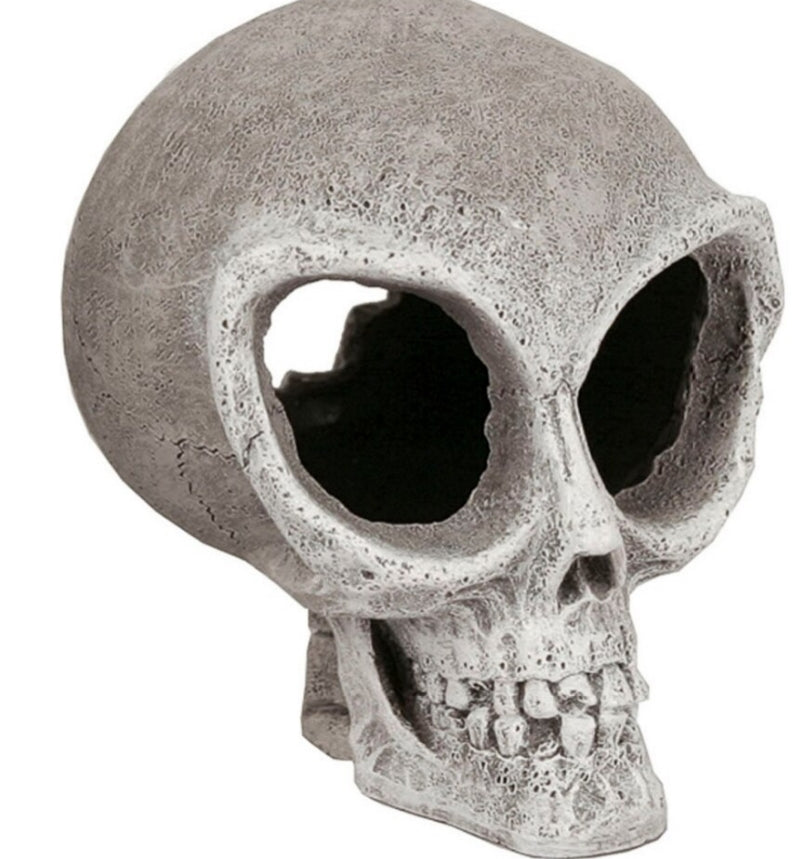 Blue Ribbon Alien Skull Tank Ornament