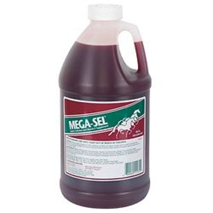 Mega-Selreg - 64oz - Equine Selenium Vitamin E