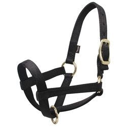 Llama Halter