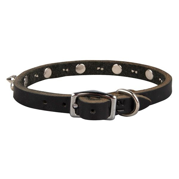 Latigo Spike/Stud Collar 3/8in Black