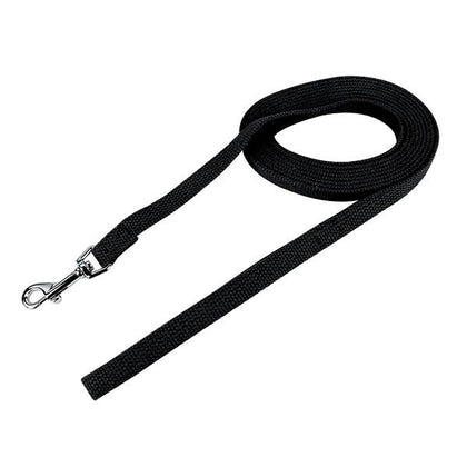 Web Training Lead Green