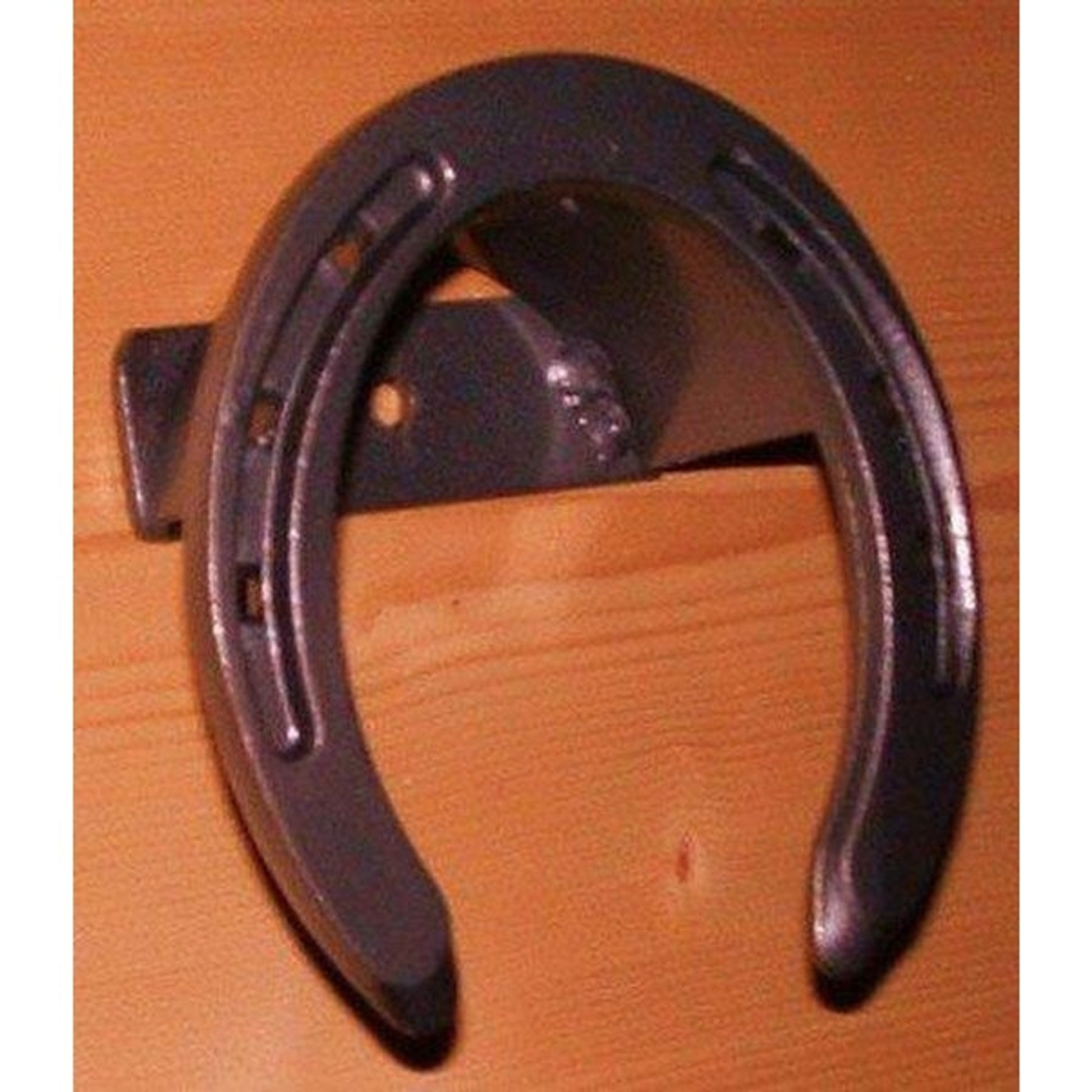 Browband Headstall - Barb Wire Design