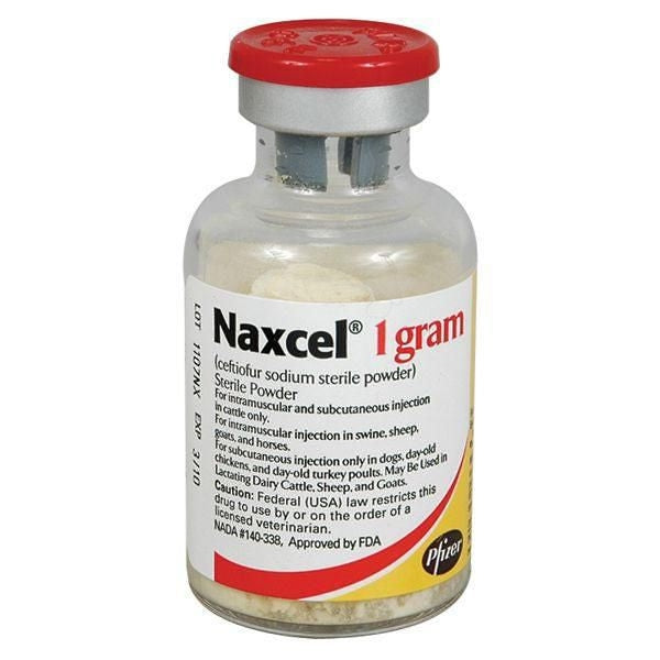 Naxcel Injection– Horse.com