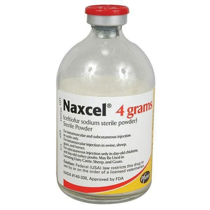 Naxcel Injection