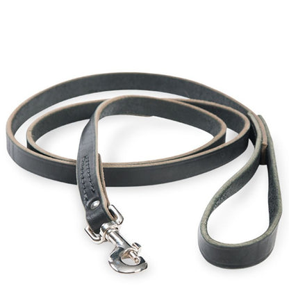 Latigo Dog lead Black