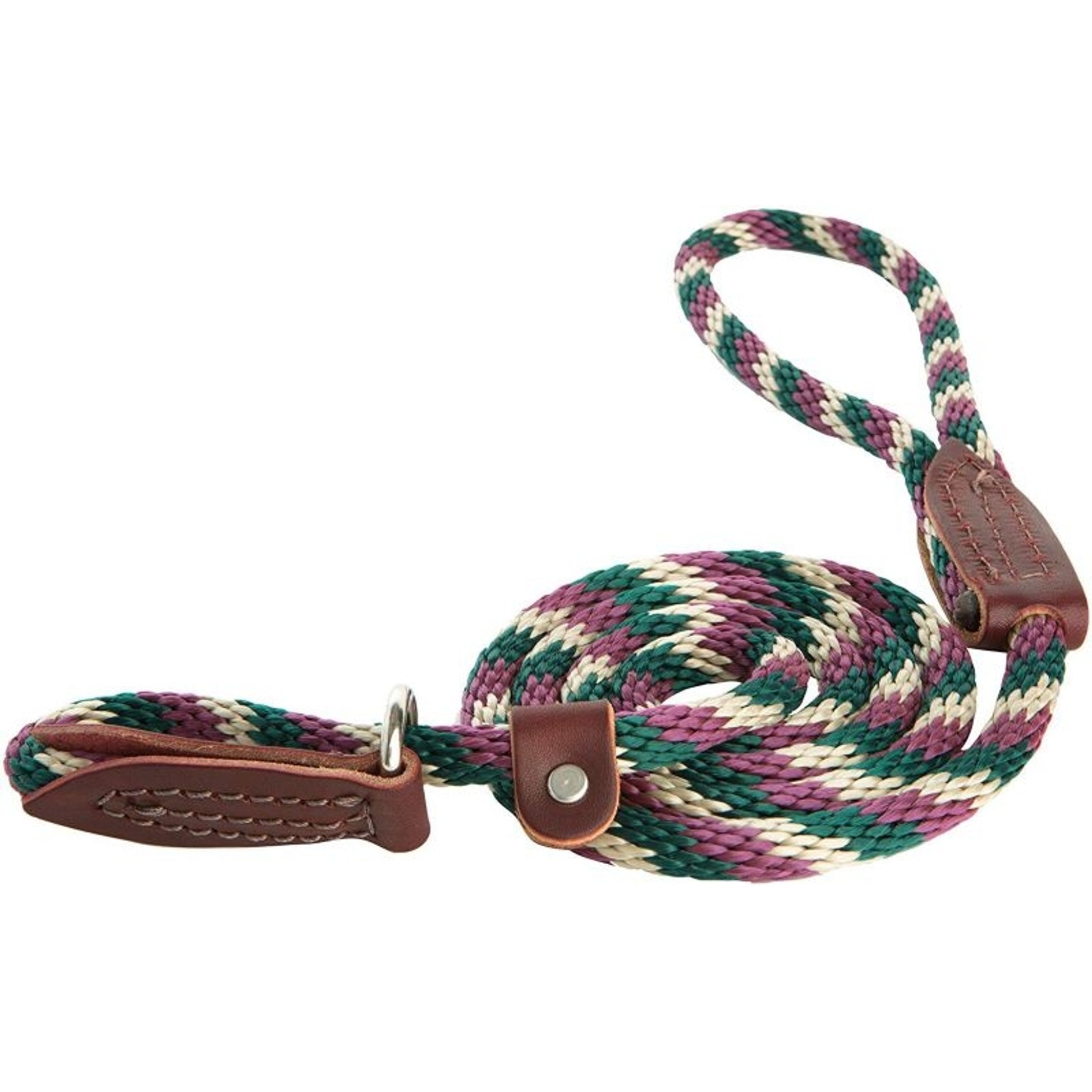 Slip Lead for Dogs