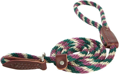 Slip Lead for Dogs