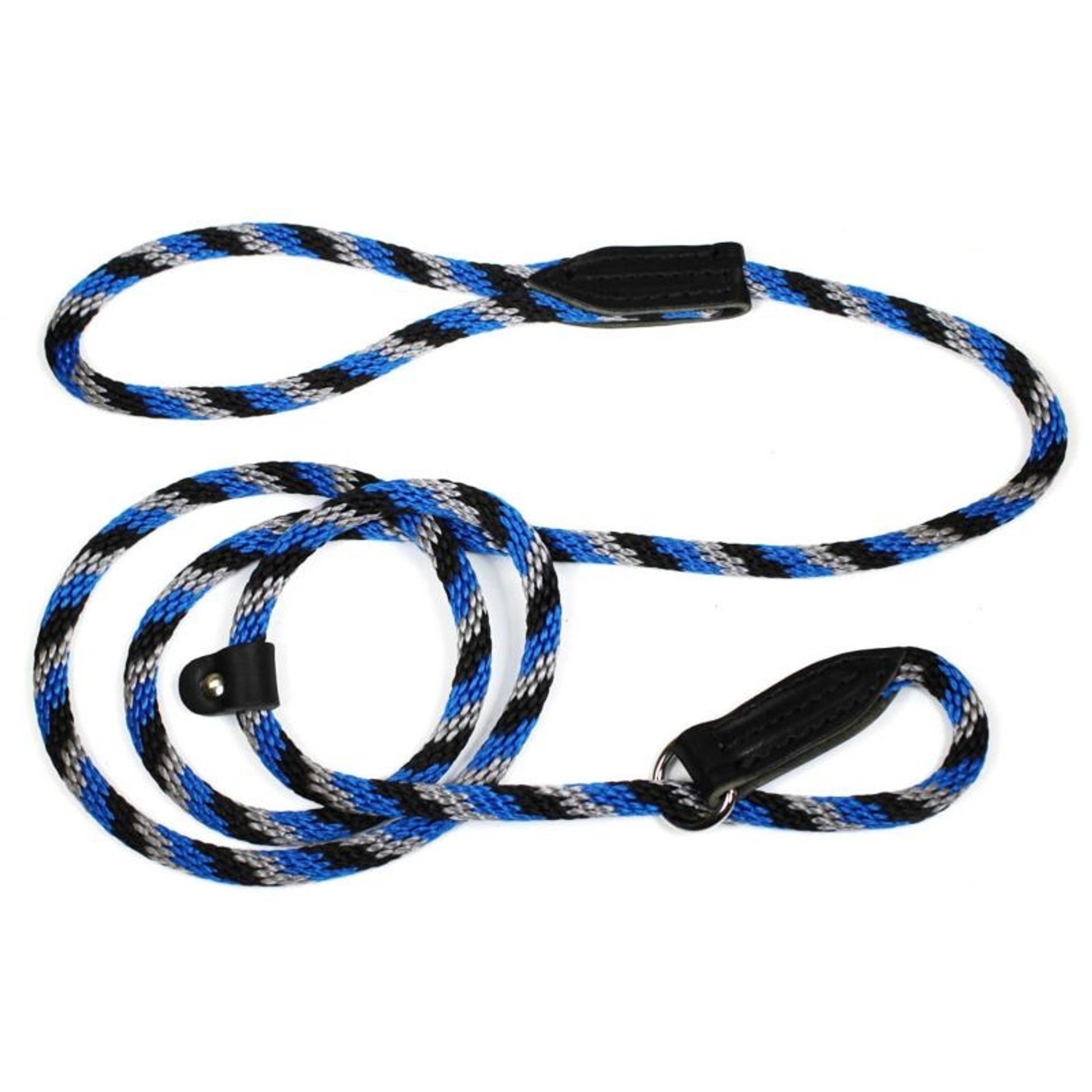Slip Lead for Dogs