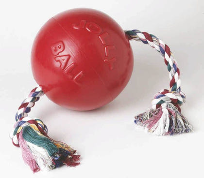 Jolly Pets Romp-n-Roll Ball 4.5 Inch