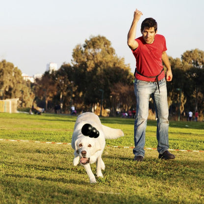 KONG Extreme Dog Toy