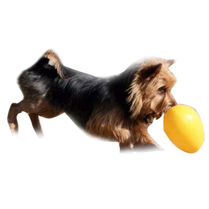 Jolly Pets Jolly Egg Dog Toy