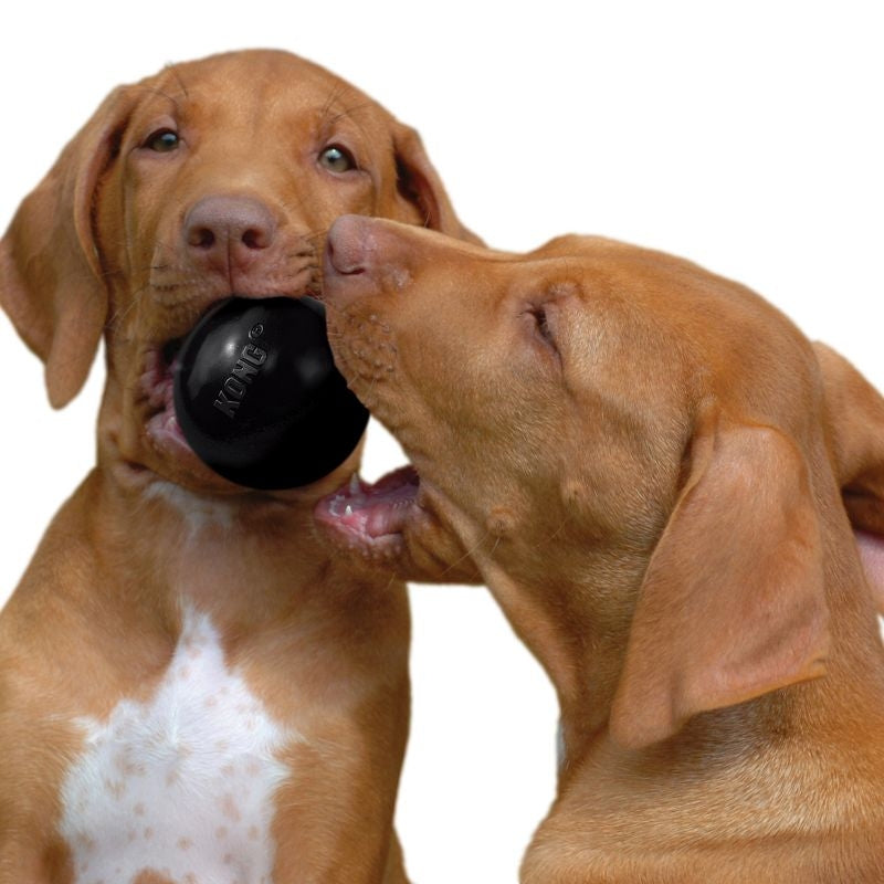 Extreme KONG Ball Dog Toy