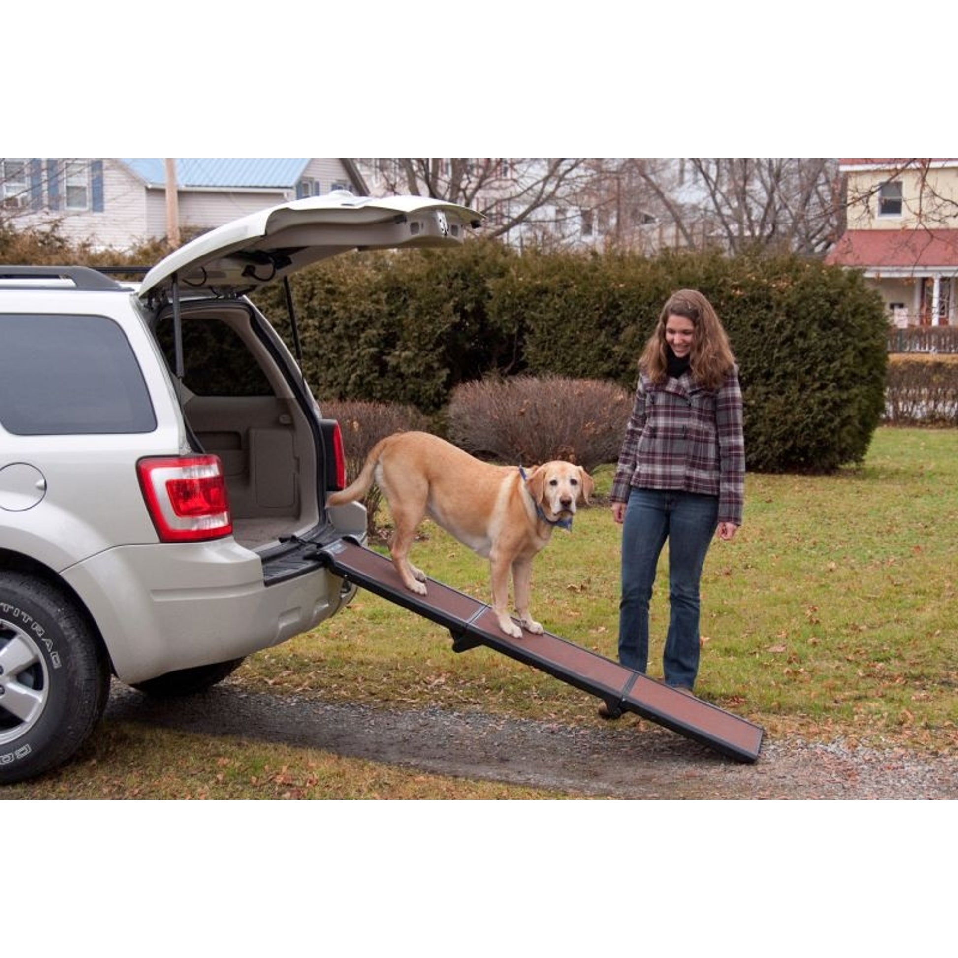 Travel-Lite Tri-Fold Pet Ramp–1