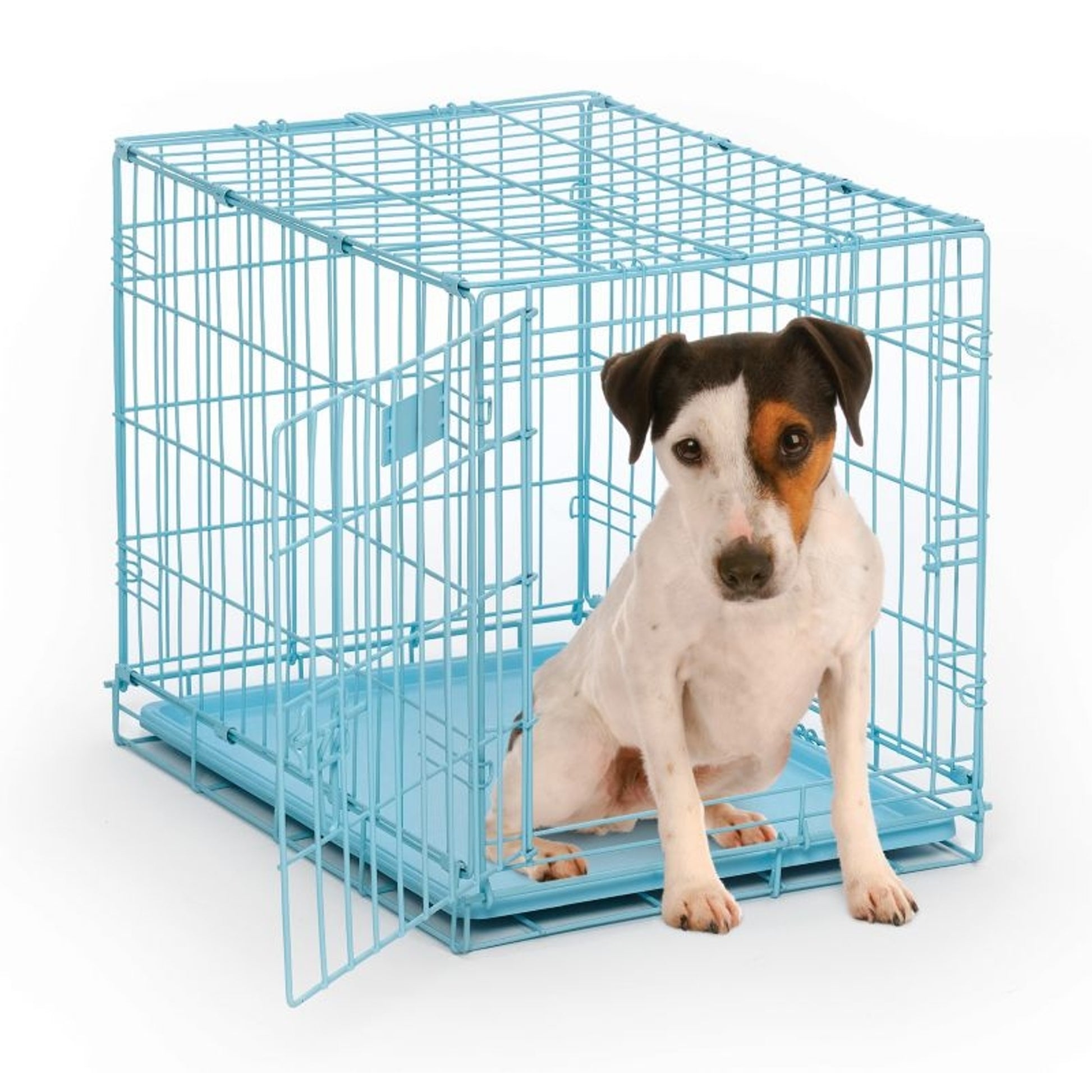 Midwest Color iCrate Folding Dog Crate
