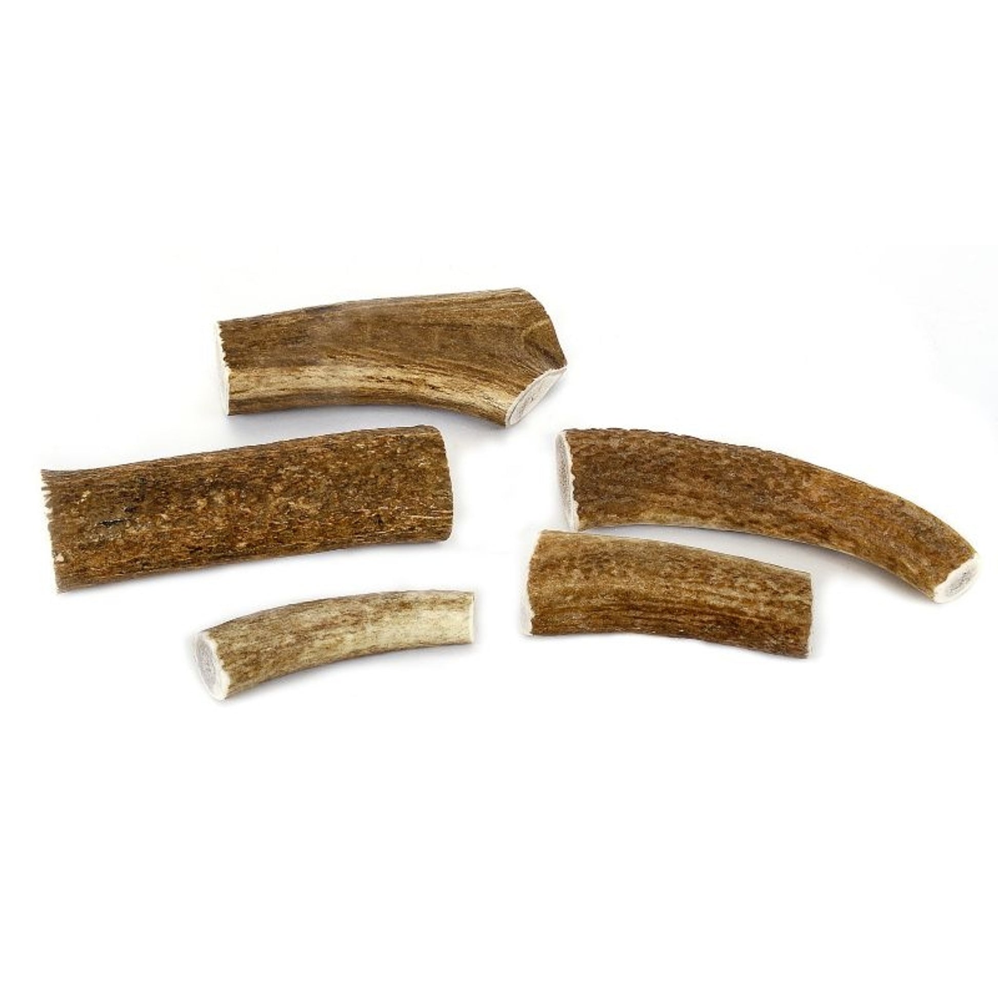 Happy Dog Whole Elk Antler Dog Chew